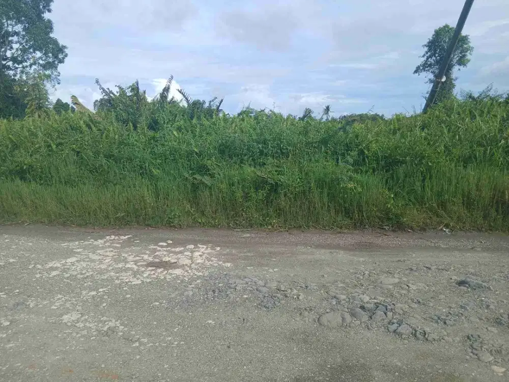 Jual Lahan di Kab.Sorong Jln.Aimas Seget.1,6 Hektar