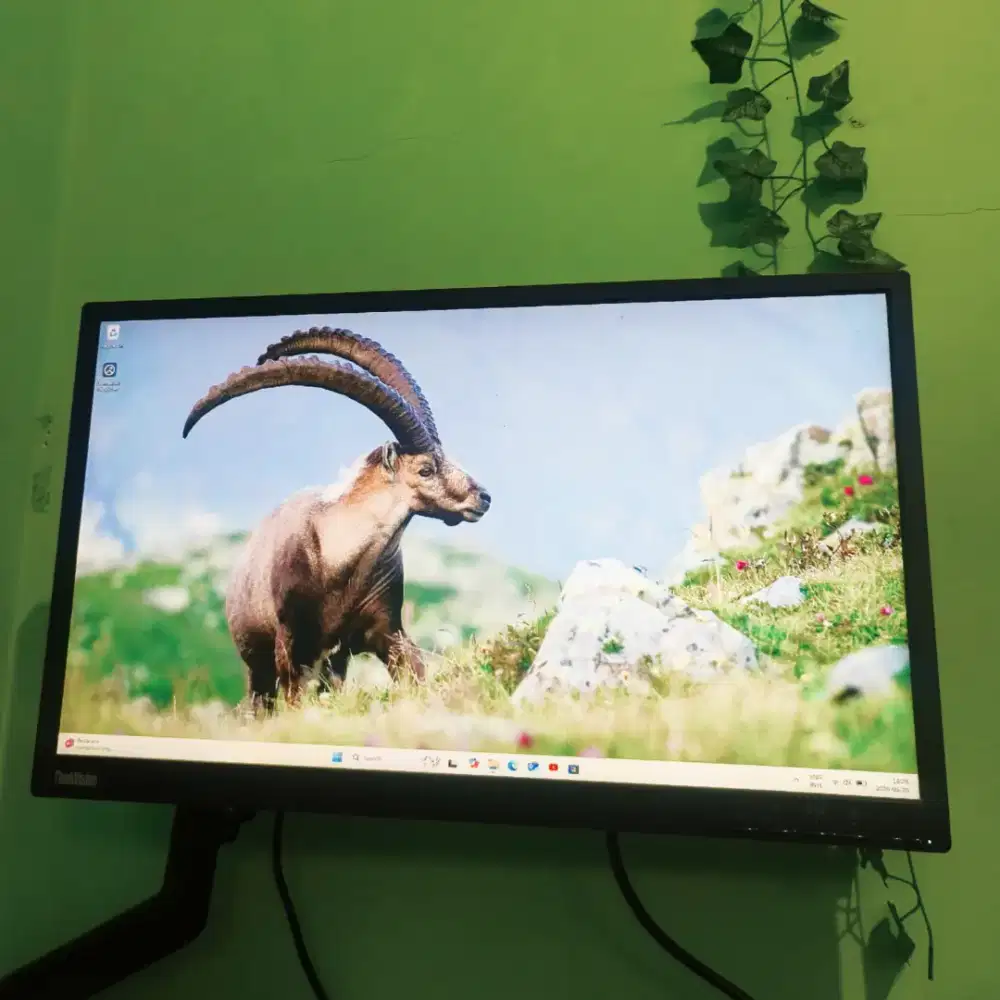 Monitor ips lenovo thinkvision e24-10 24 inch fullhd