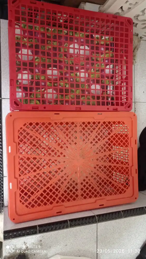 Keranjang manggis, utk export. Lengkap dengan plastik dan selipannya