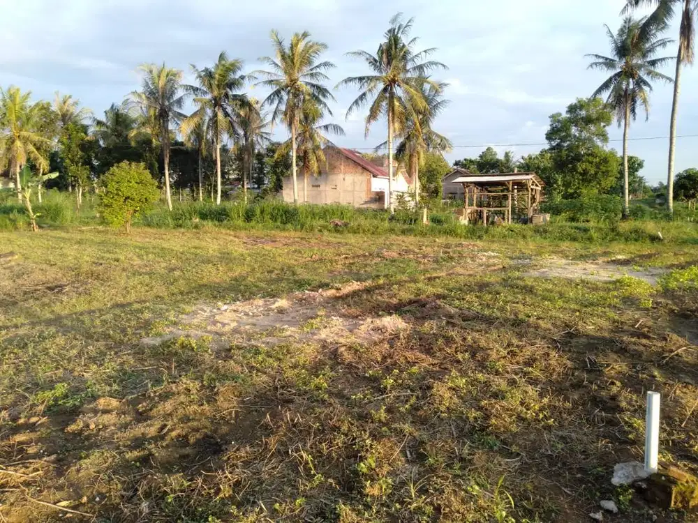 TANAH PALING MURAH DIFAJAR BARU DEKAT WAYHALIM KEDATON