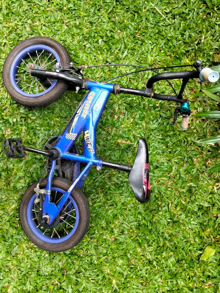 Sepeda anak Bagus Murah