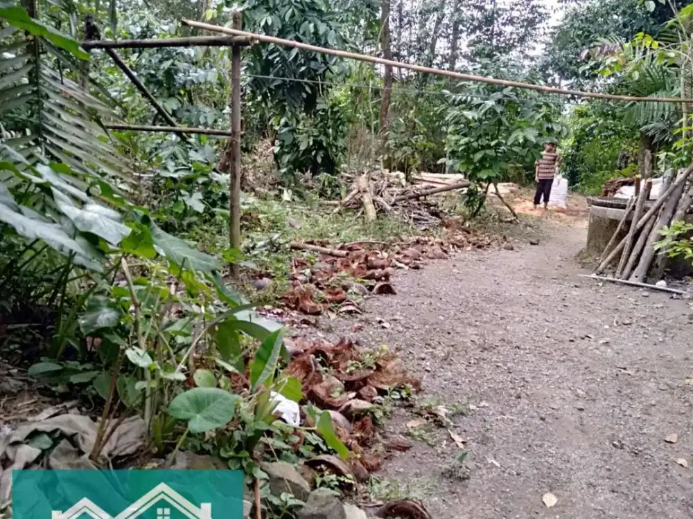 Jual Tanah Murah Di Pakem, 700 Ribuan Saja