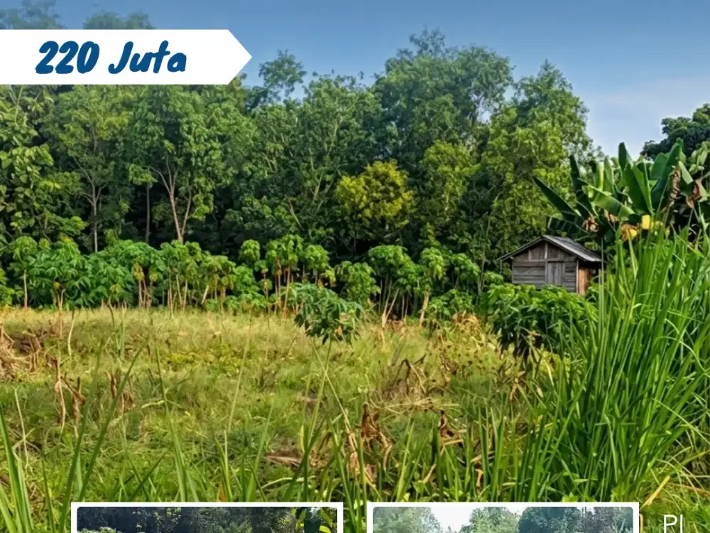 Dijual Tanah Tegalan Di Kaliwuluh Kebakkramat Karanganyar