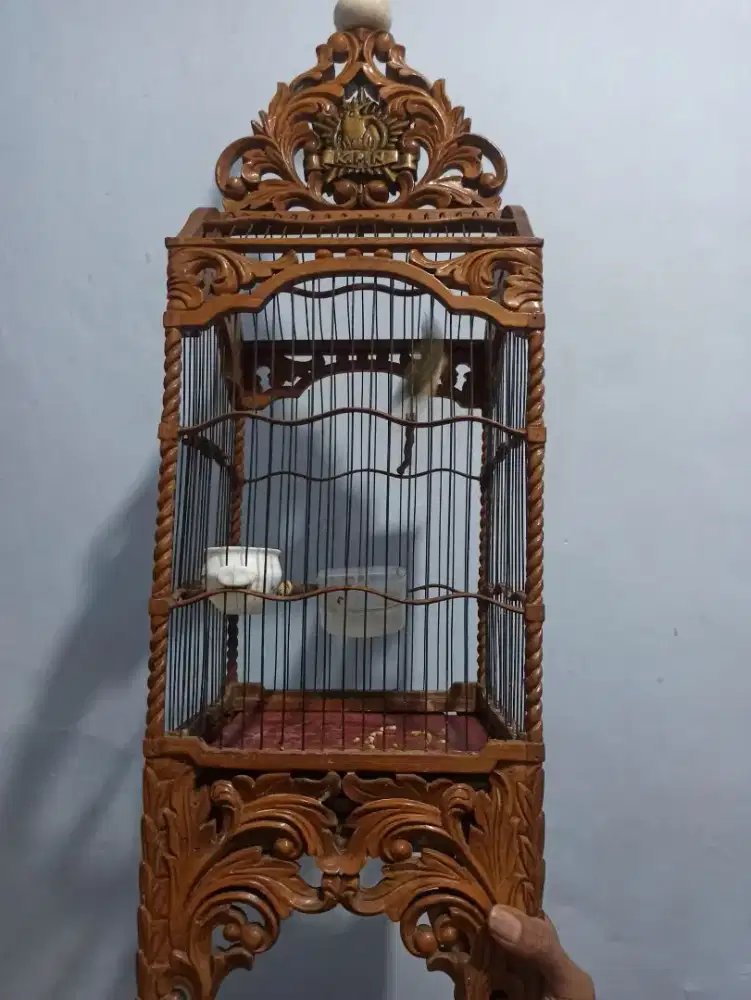 Sangkar jati ukir burcil