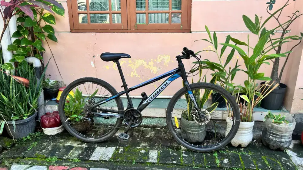 WTS/DIJUAL SEPEDA MTB RUBICK