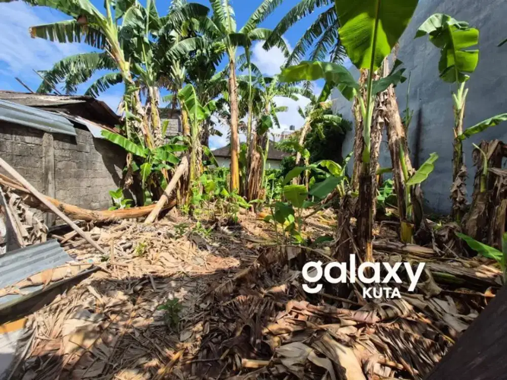 DIJUAL TANAH MERTASARI SIDAKARYA DENPASAR