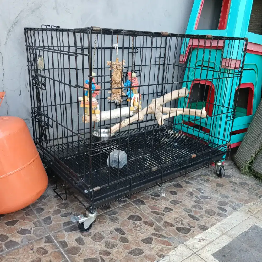 Kandang burung besar