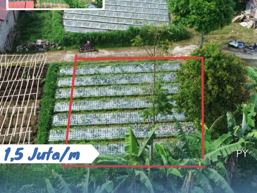 Dijual Tanah Kemuning View Gunung Lawu