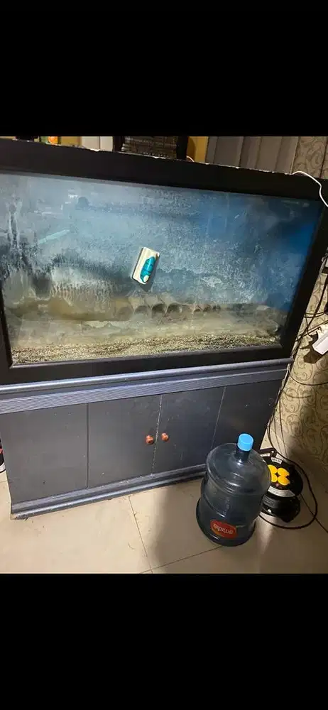 Aquarium besar ukuran cek deskripsi