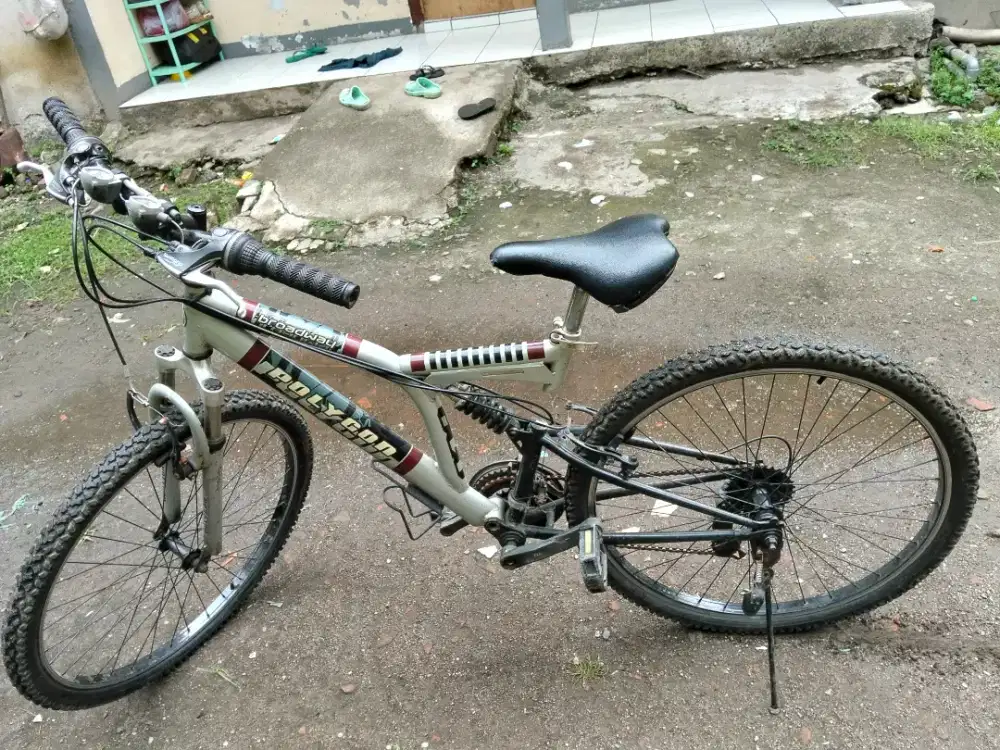 Sepeda polygon nominus