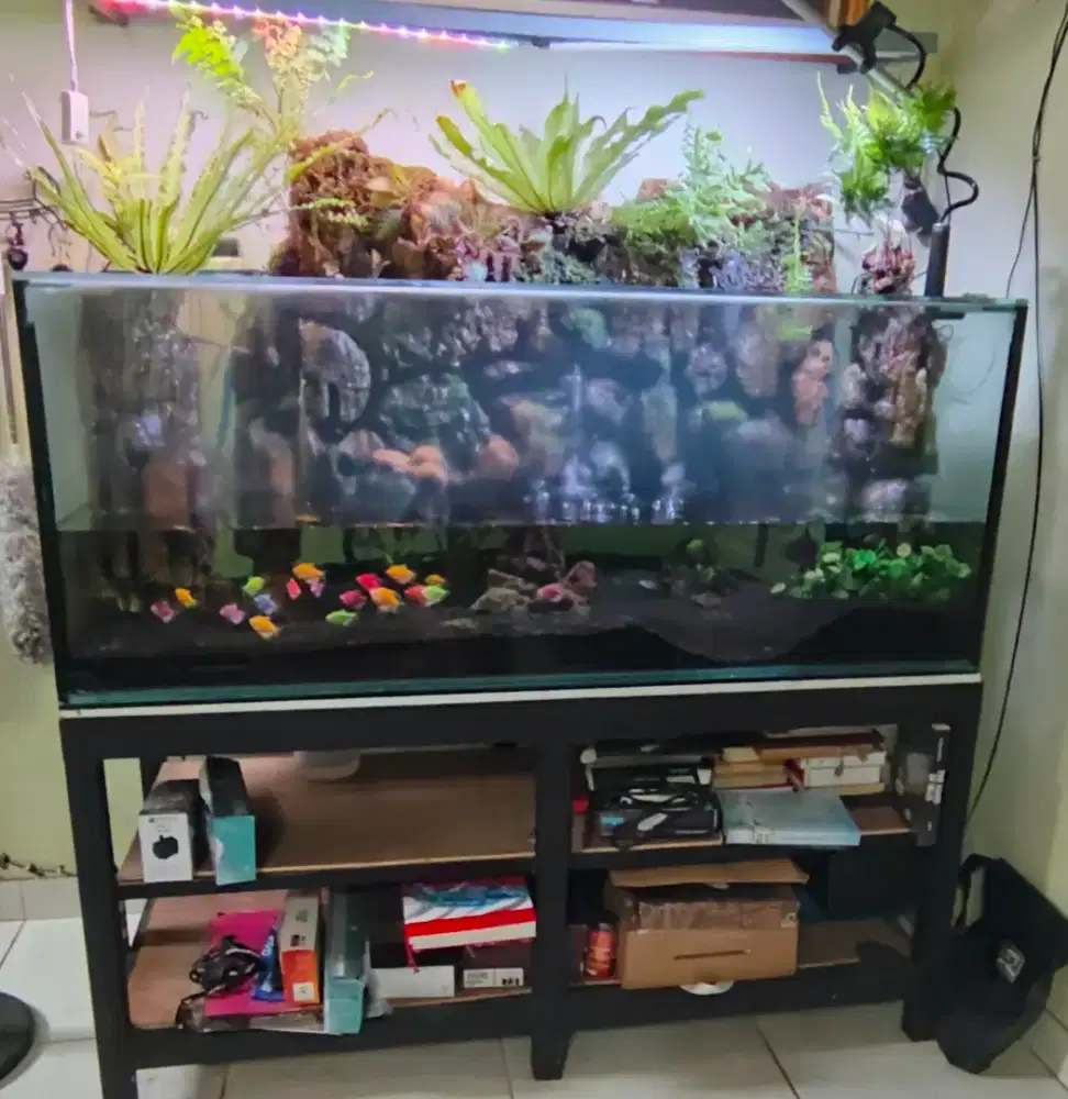 Akuarium aquascape