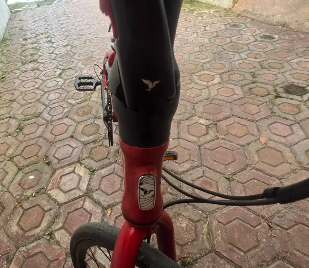 Sepeda Tern D9 2023 Disk Brake