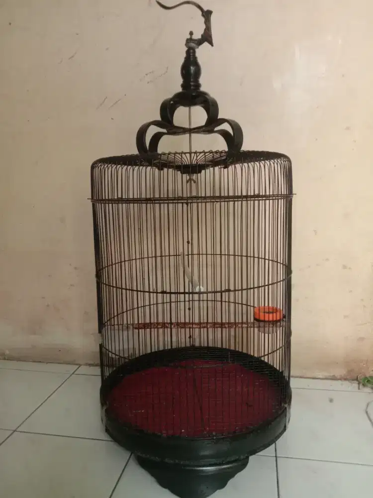 Kandang bulet kotak jumbo diameter 42 250 k net pondok aren