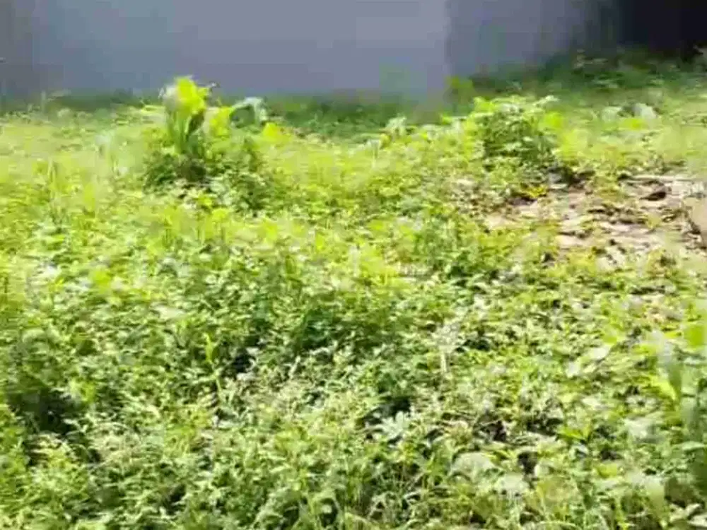 Tanah 138 meter SHM  dekat Rumah Sakit Permata Sawangan Depok