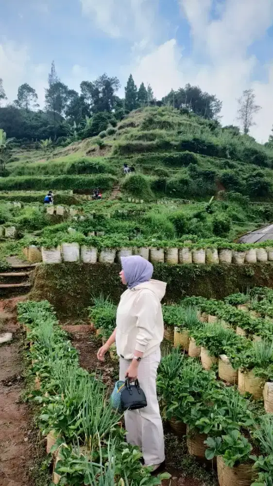 Mencari lowongan pekerjaan