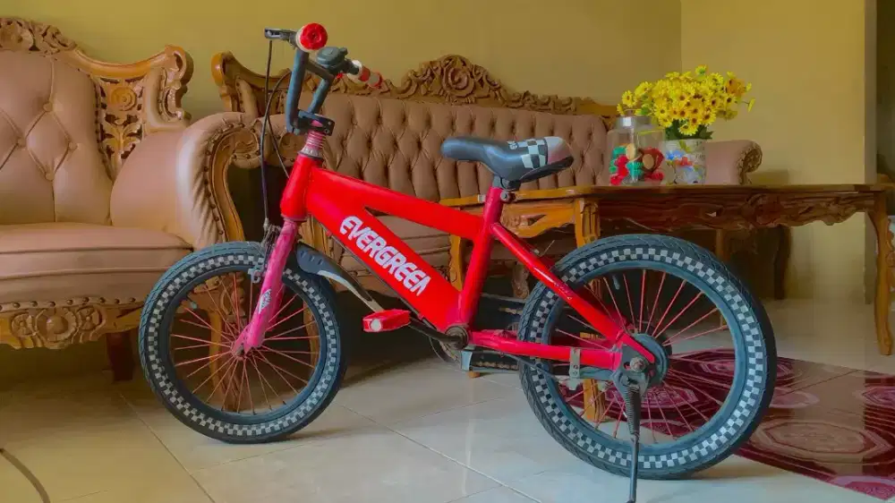 Sepeda anak Evergreen