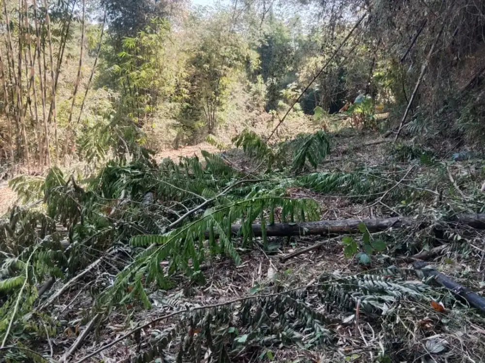 dijual tanah murah tegalan sumberjo