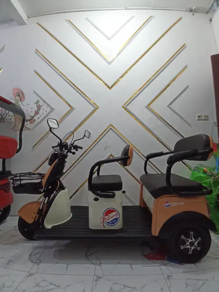 Sepeda listrik roda 3 tinggal pakai