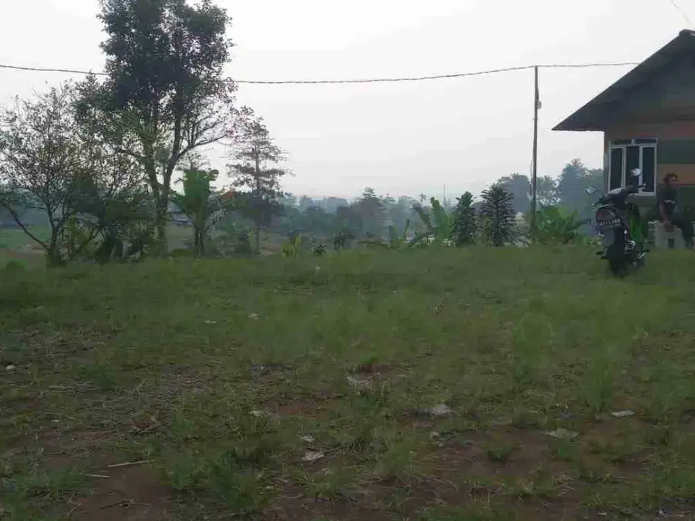 di jual tanah kebun shm siap bangun untuk villa di Bocimi cigombong