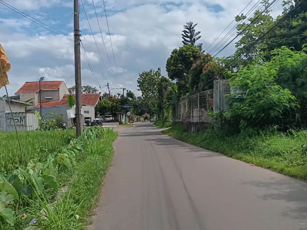 Kavling Hunian 600Meter Jl. Dramaga Free SHM