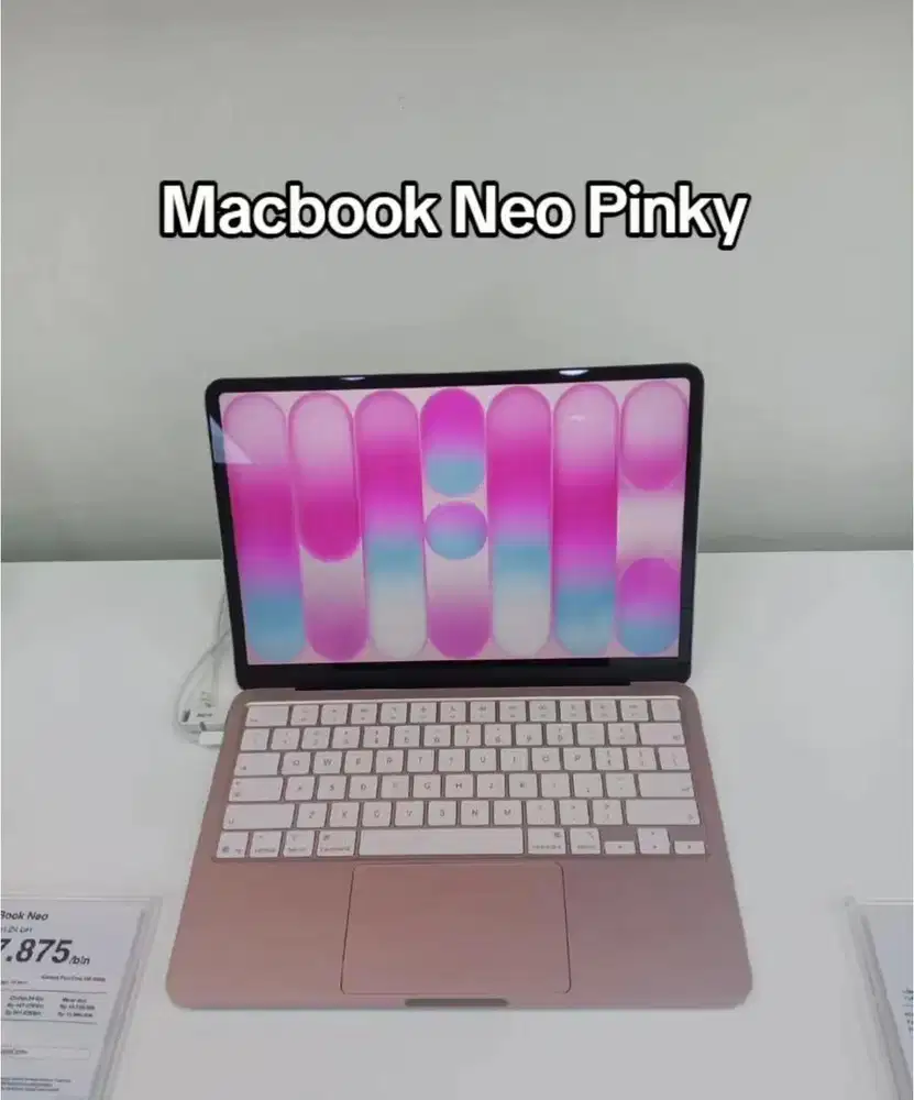 MacBook Neo Blush