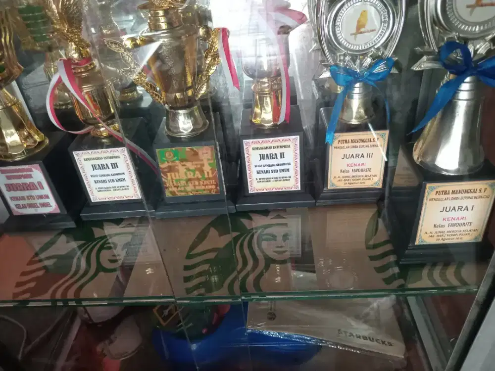 piala lomba burung berkicau