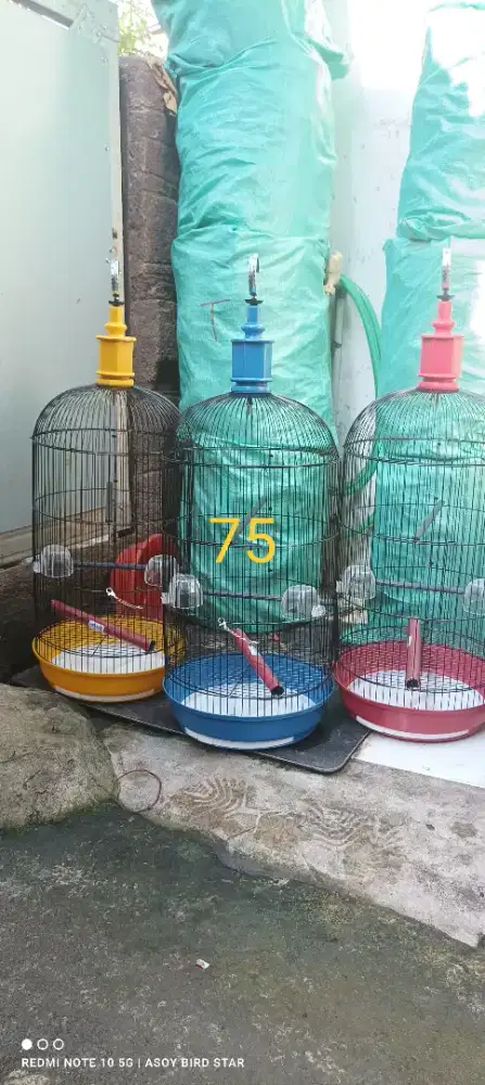 Kandang lovebird tebok baskom