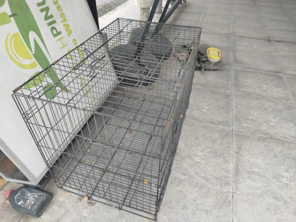 di jual kandang kucing bekas muat untuk 2 kucing