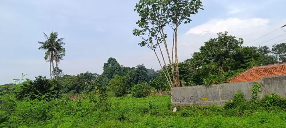 [ FOR SALE ] DIJUAL TANAH MUNCUL 3.579 M²