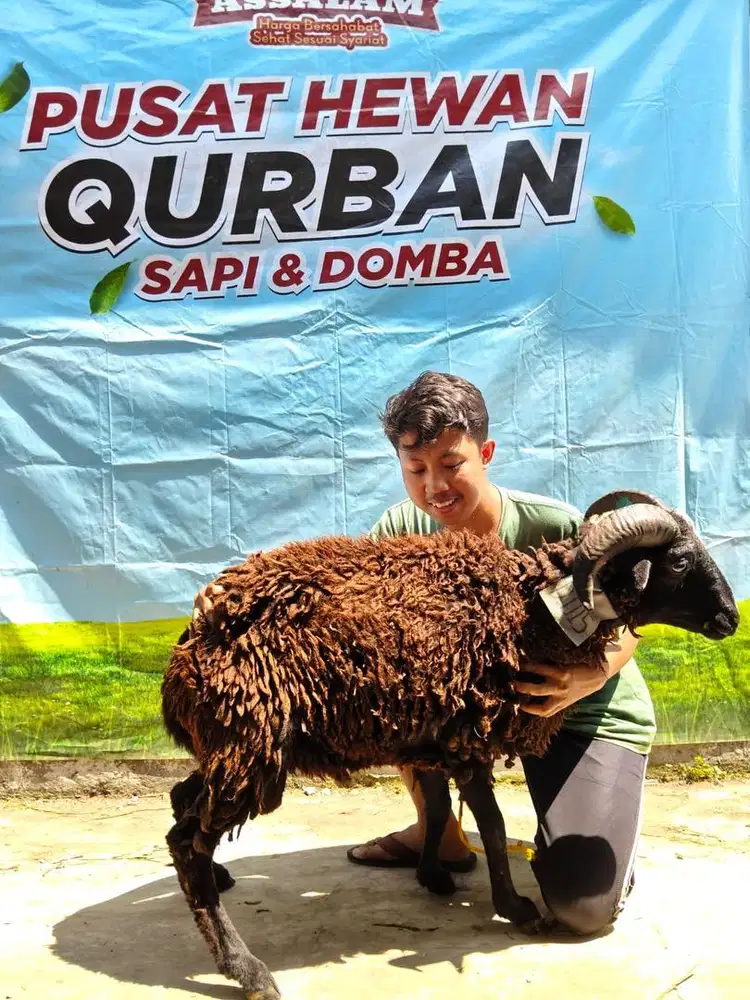 2 JUTA SUDAH BISA QURBA225N || GRATIS ONGKIR SE BANDUNG RAYA !!