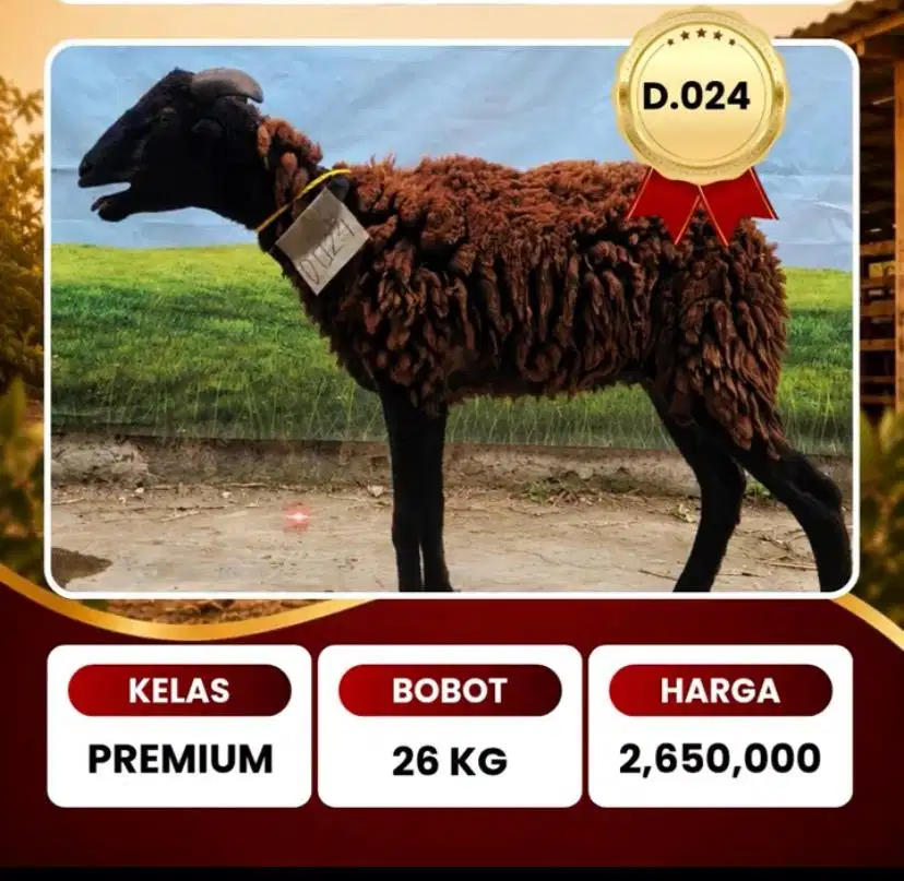2JUTAAAN SUDAH BISA BELI HEWAN QURBAN