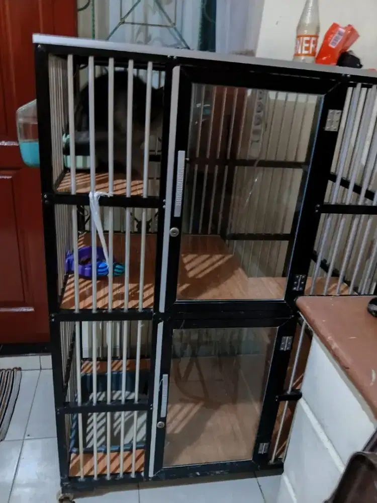 Kandang kucing tingkat include kucing