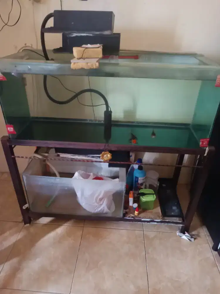 Aquarium full set