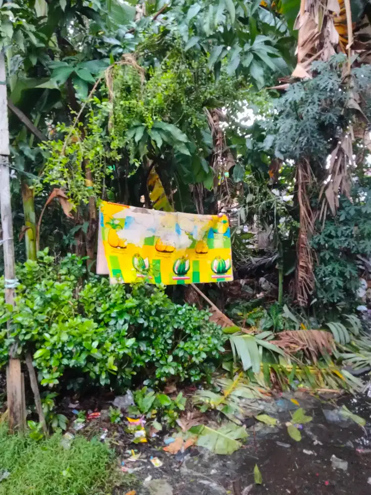 Di jual cepat murah tanah