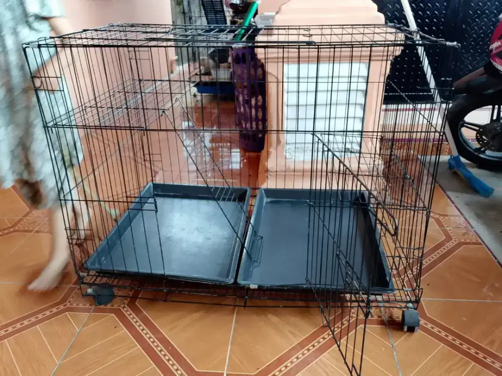 Kandang kucing mantap