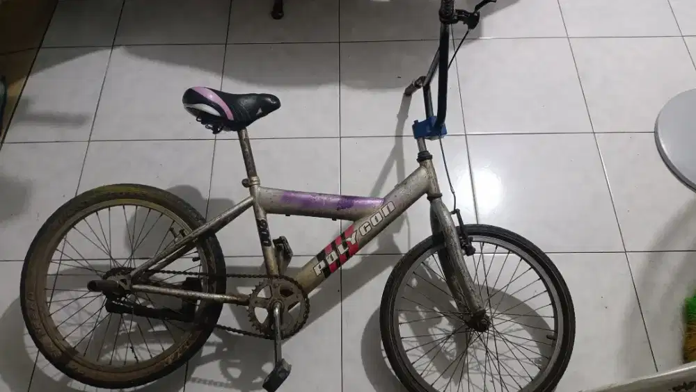 Sepeda anak polygon
