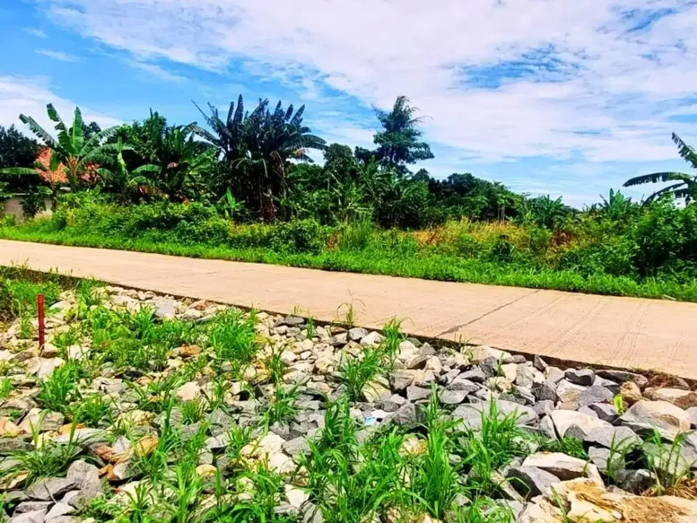 Kavling Tanah Cisauk Murah 1 Jt-an Dekat HIERA BSD, SHM Terjamin