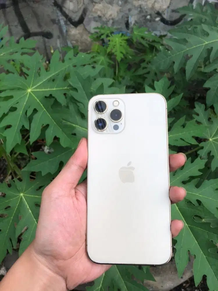 Iphone 12 promax 256gb ibox