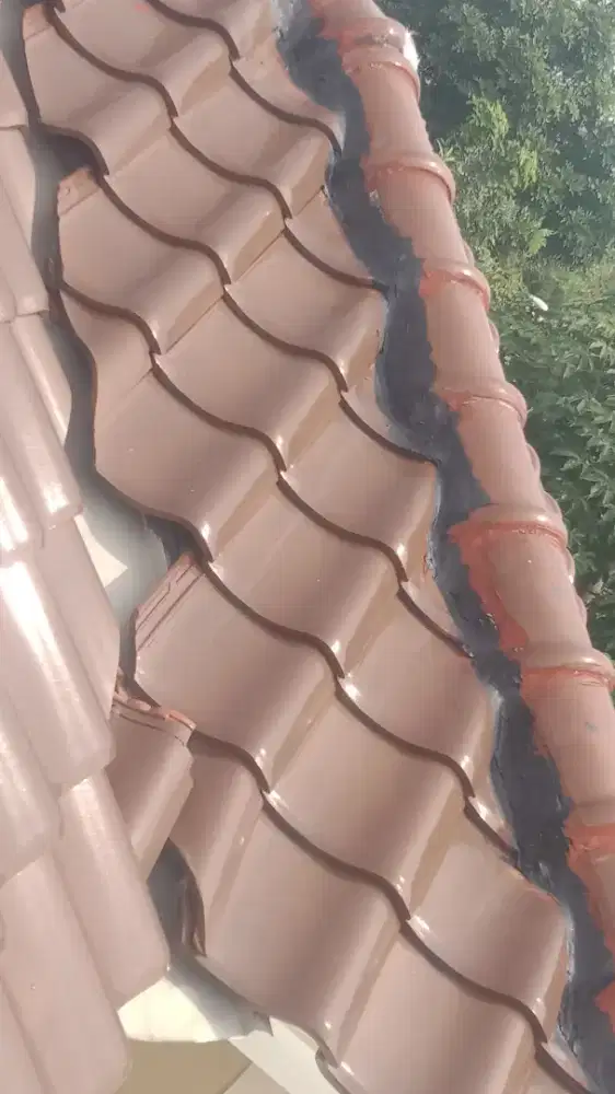 Tukang renovasi atap..Dan Plafon