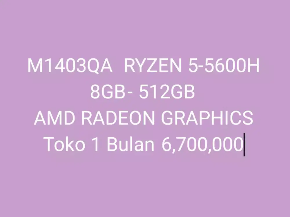 ASUS M1403QA		RYZEN 5-5600H