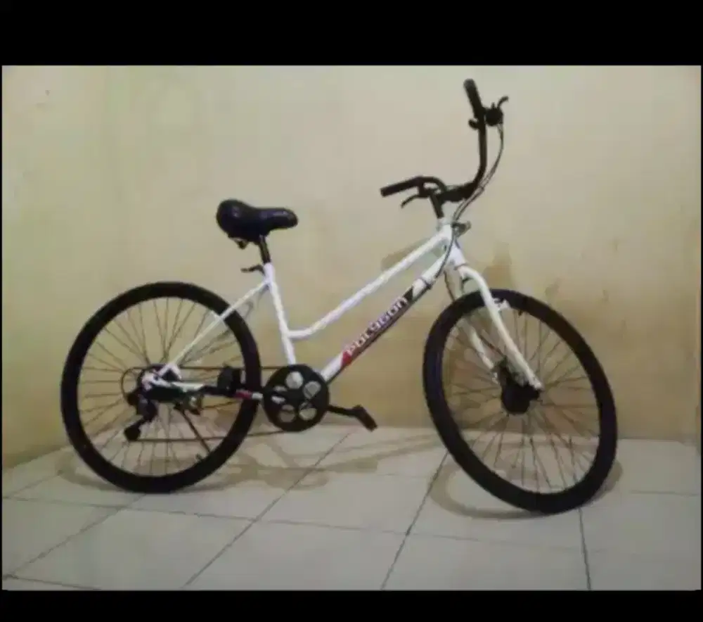 Sepeda model keranjang uk27 dewasa