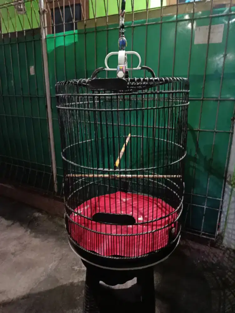 Kandang Murai No. 3 fullset Kerodong