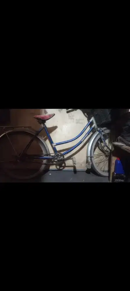 Sepeda sedang untuk Dewasa