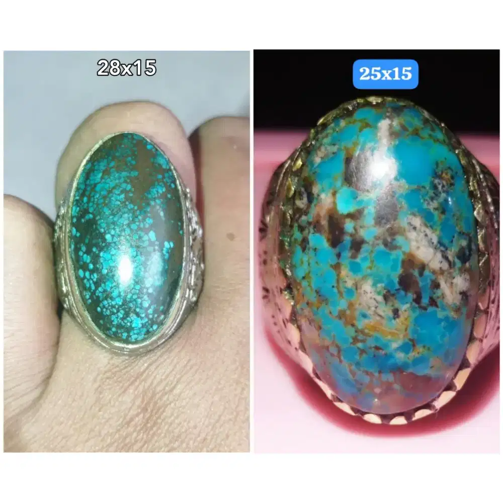 Pirus Persia full daging mumbul urat Emas dan merah