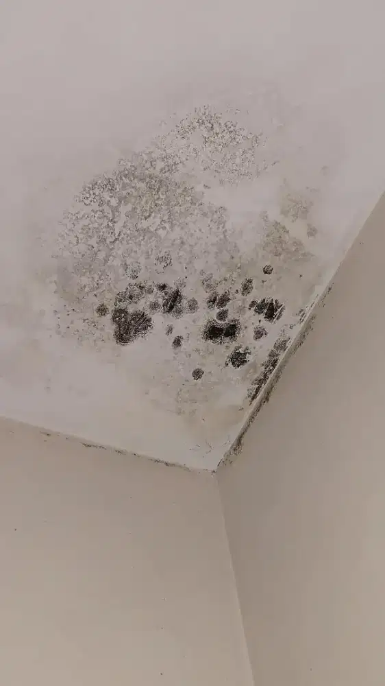 Tukang atap bocor ganti atap rumah renopasi