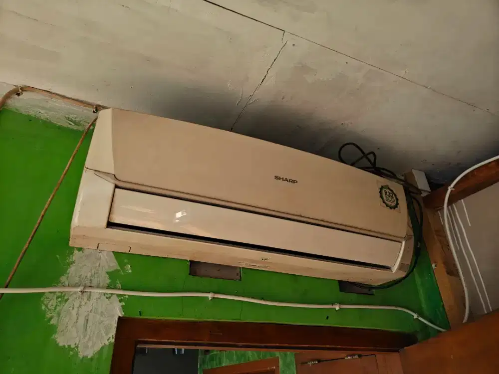 AC Sharp 1/2 PK