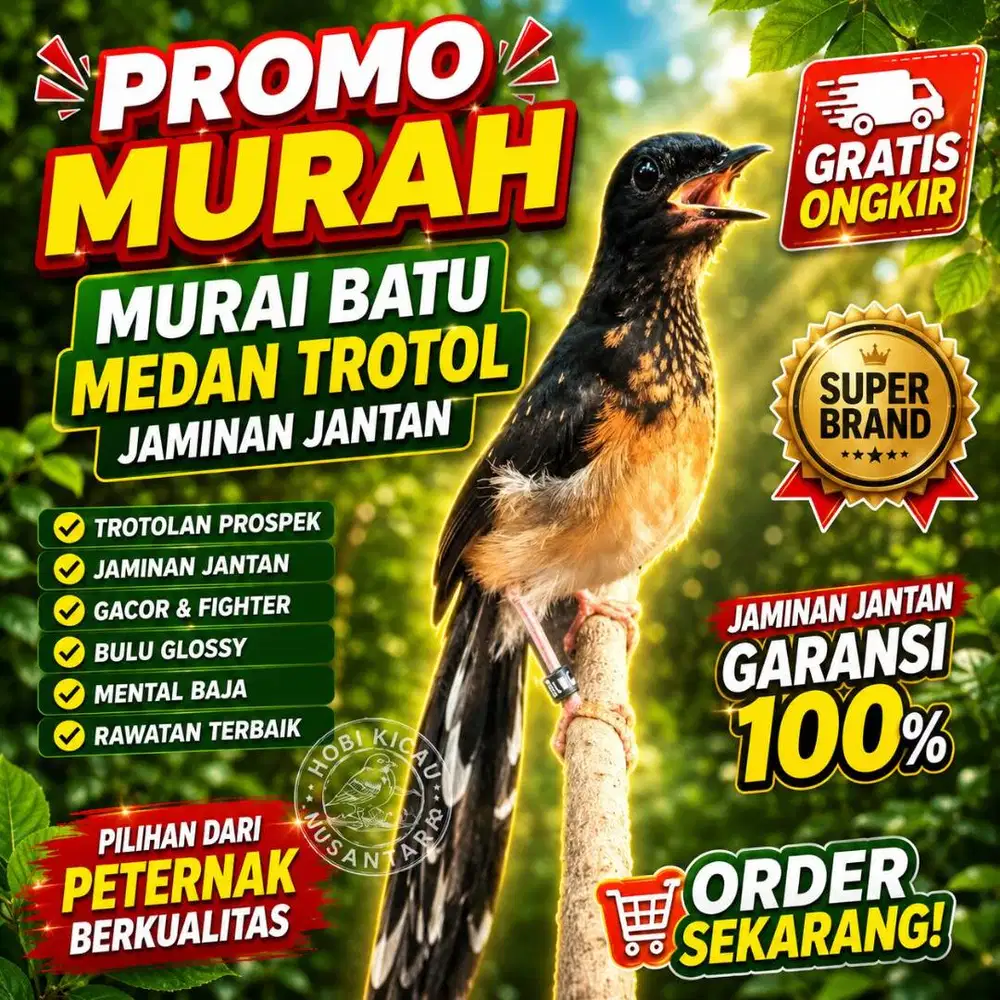 burung murai medan trotol garansi jantan 100%