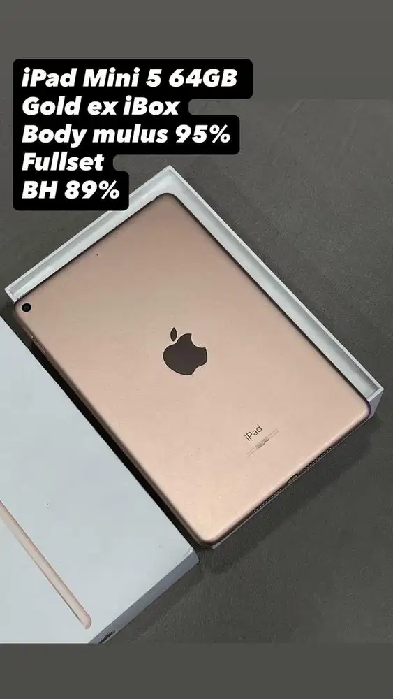 iPad Mini 5 64GB Gold wifi only ex iBox