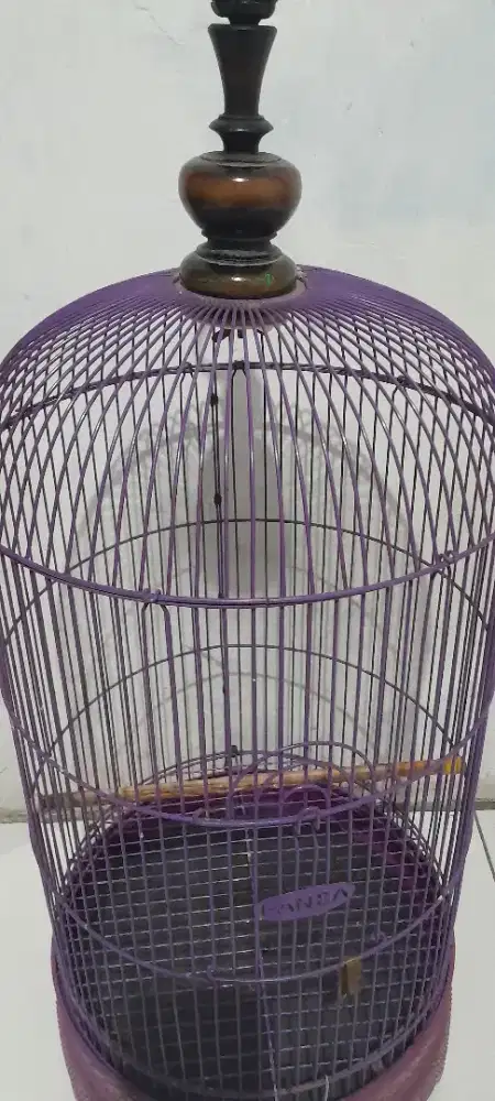Kandang LB tebok krodong