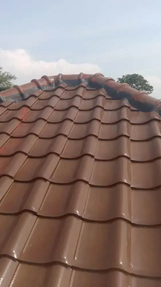 Perbaikan Atap dan.Plafon TalNg air